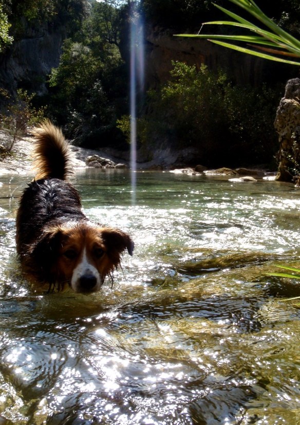 Robert, disfrutando de las aguas del Río Vero