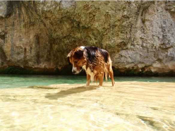 Robert “pescando” en una de las pozas de los Trucasians