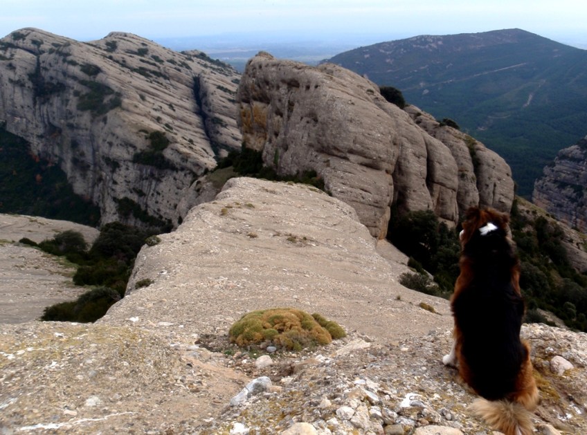 Vistas desde el Mallo occidental de Aliana