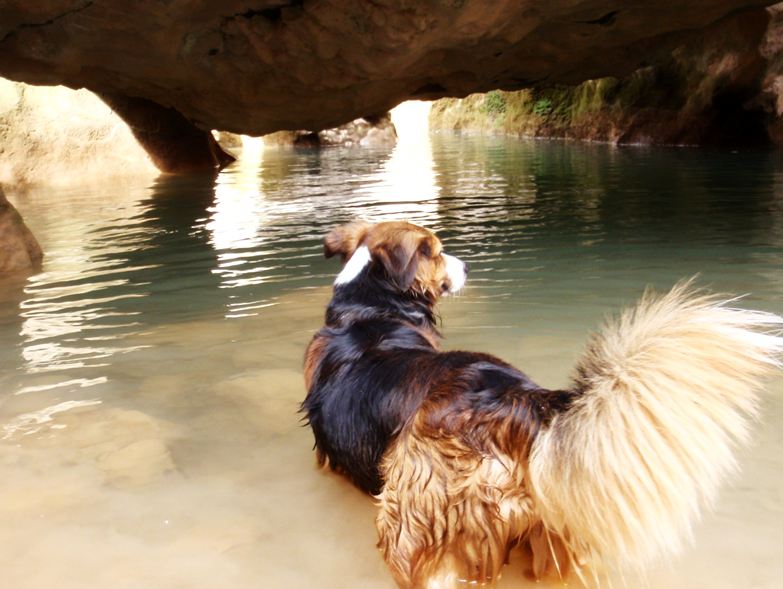 El Barranco Barrasil