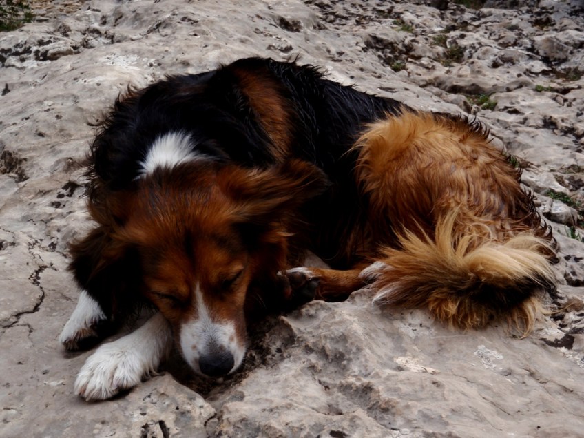 Robert setea en la orilla rocosa de la Olleta