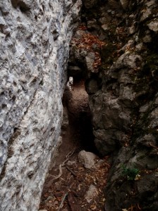 El Bozocal de los Gatos