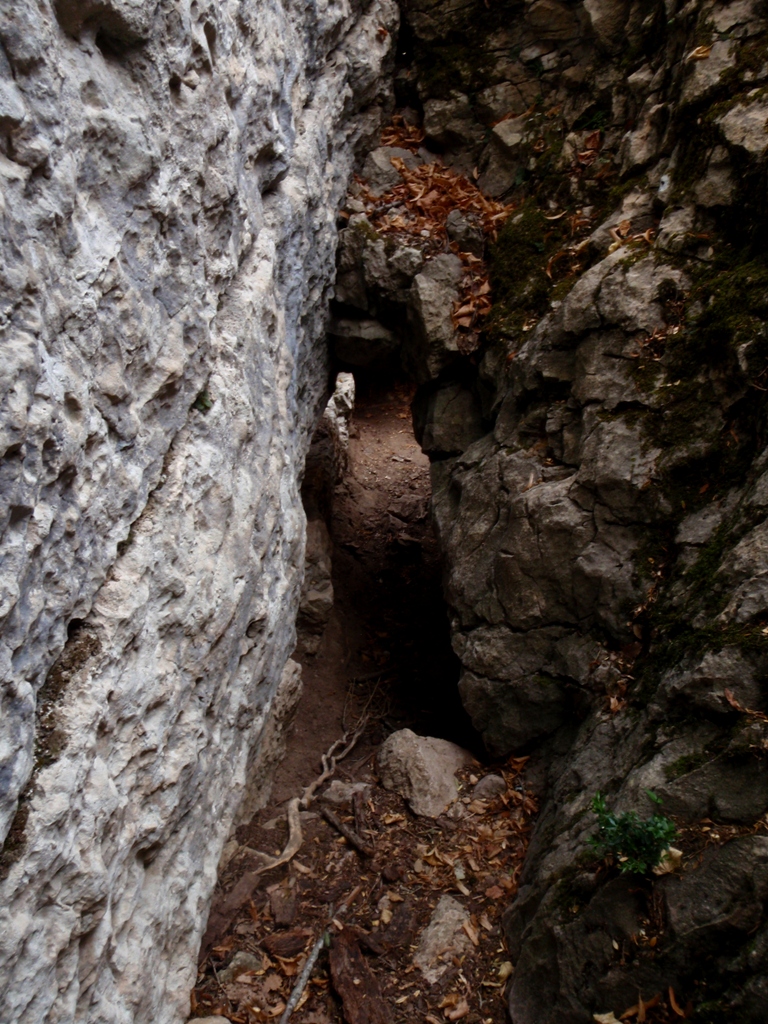 El Bozocal de los Gatos