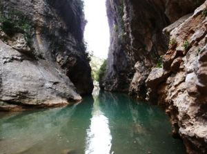 El inicio de la Badina Ajuntadero
