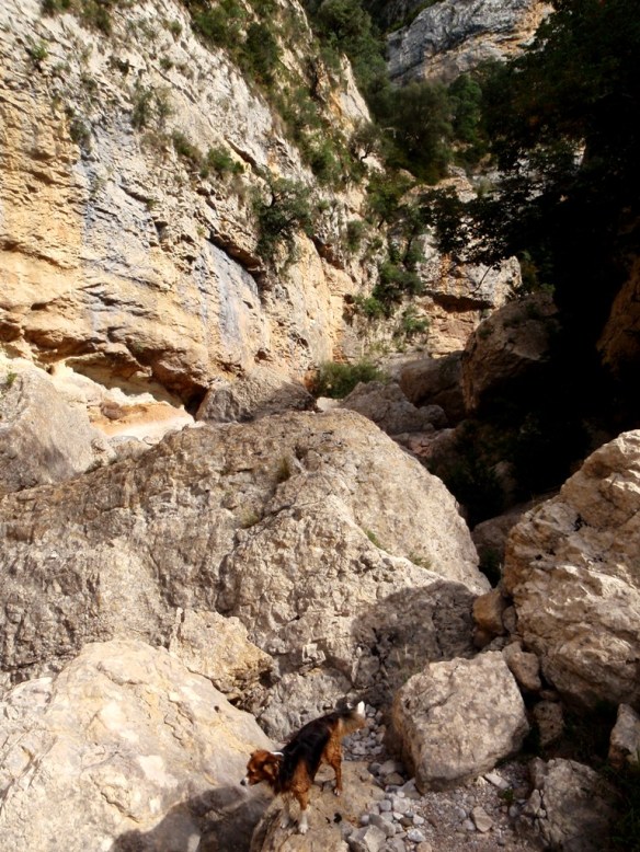 El Bozocal de los Gatos