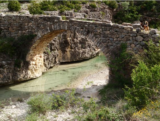 El puente del molino sobre el Vero joven