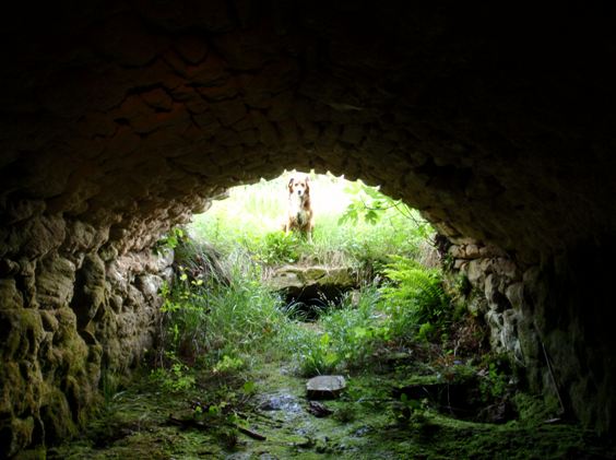 Robert me espera fuera del molino, porque le dan miedo las cuevas.