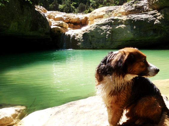 La Poza Chinchirigoy