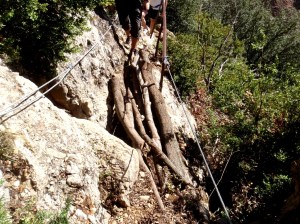 El puente de troncos en el Paso de la Viñeta