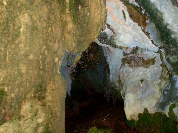 EL Barranco de la Focina
