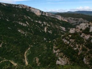 La Colaniara La Colaniara