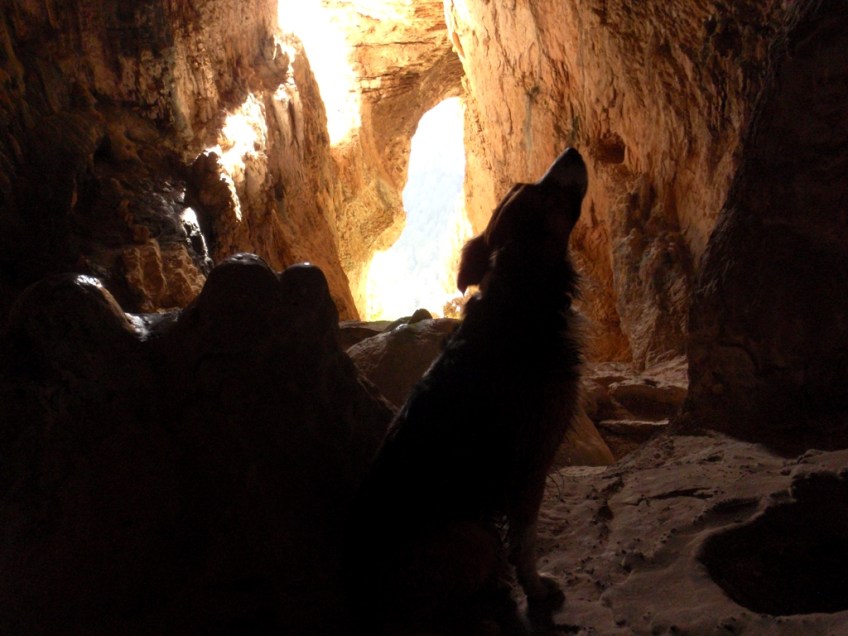 La Cueva de Lucien Briet