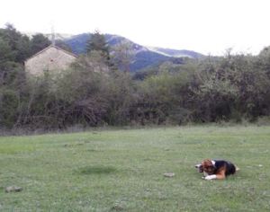 La Pardina de Matidero