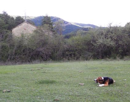 La Pardina de Matidero