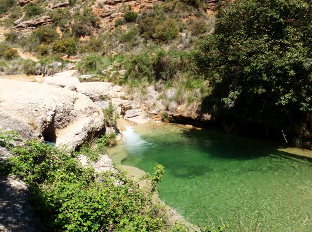 La poza base en el Formiga