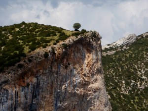 Video: Paseo por Guara II - One tree hill