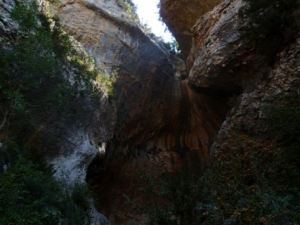 El último salto del Portiacha