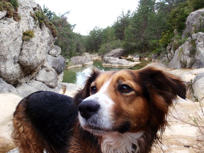 Robert en el joven Alcanadre