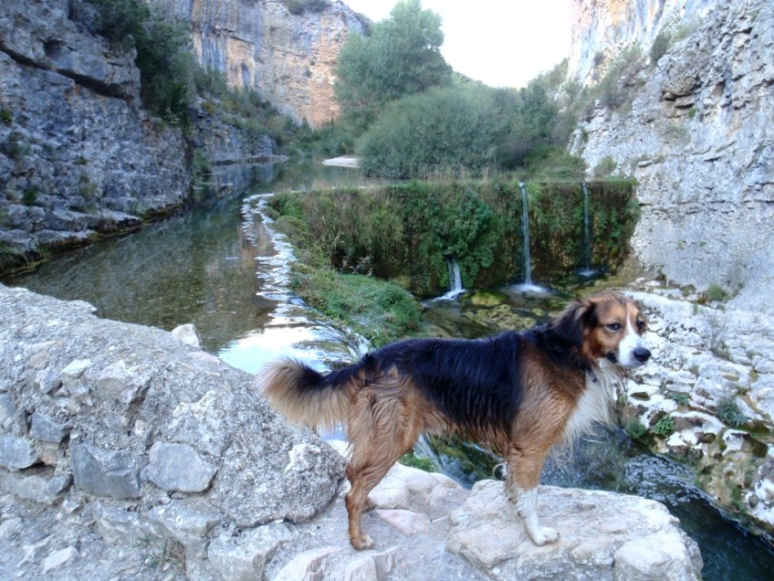 El Desfiladero de Lecina