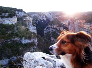 Video: Paseo por Guara I