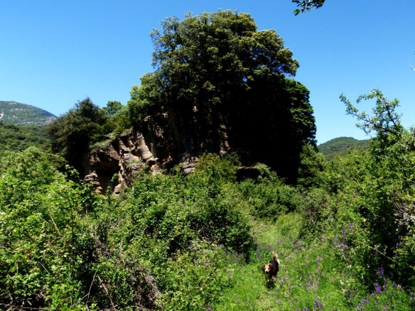 Robert corriendo por la Senda de los Carboneros