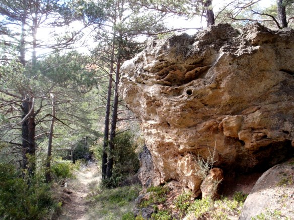 Bloque en el Barranco Barón Bloque en el Barranco Barón