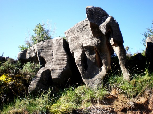 El Elefante de Las Bellostas