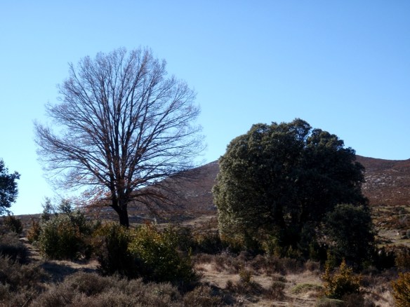 En la Pardina Villanueva