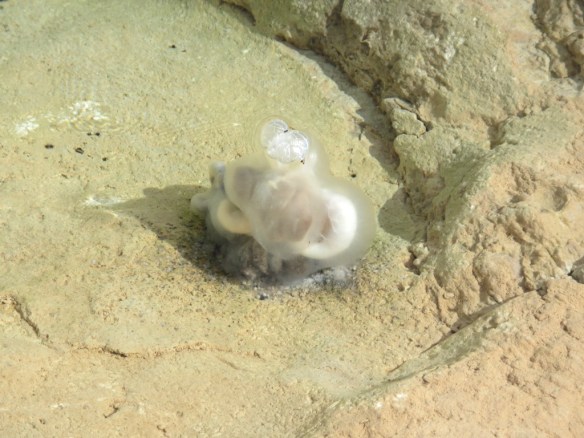 ¿Extraterrestres en Guara?