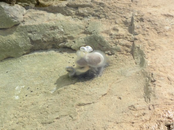 ¿Extraterrestres en Guara?