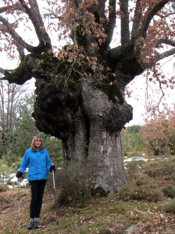 Grandes bellezas de tipos muy distintos