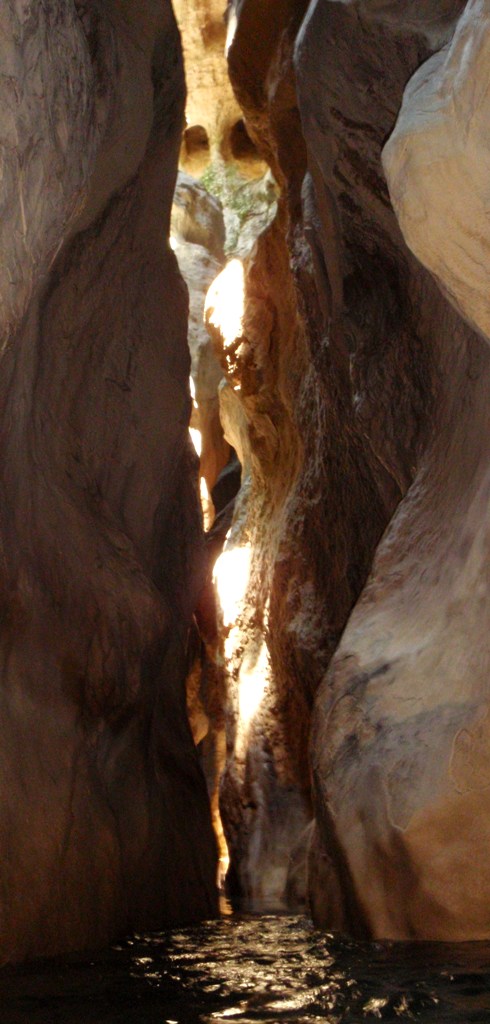 Los Oscuros del Balcez