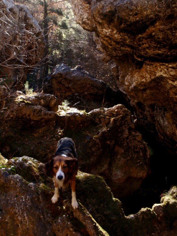 Robert en el caos del Barranco Abellada