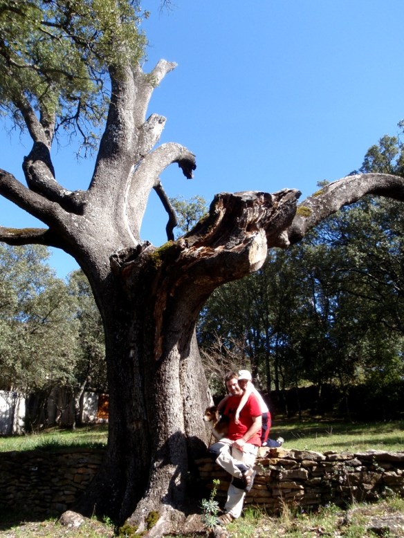 La Carrasca de San Lorenzo