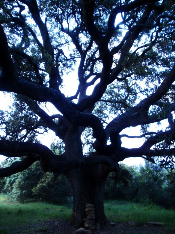 La Carrasca de Roque