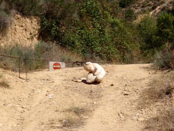 El último oso de la Sierra de Guara