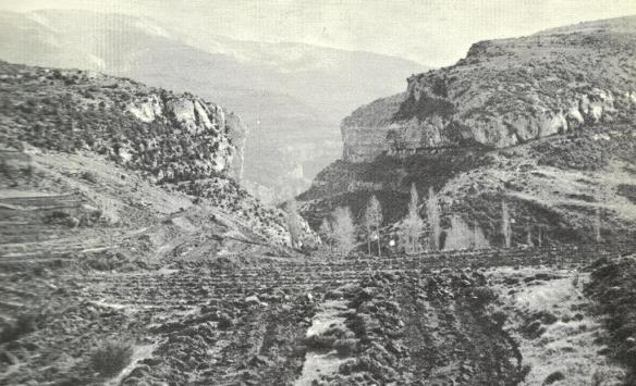 El corte del Barranco Raisen cerca de Otín