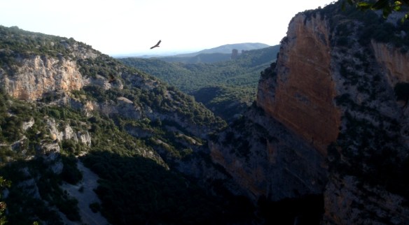 El Cañón de San Martín