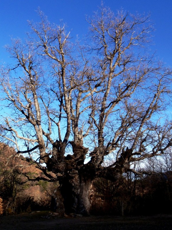 El Caxico de San Úrbez