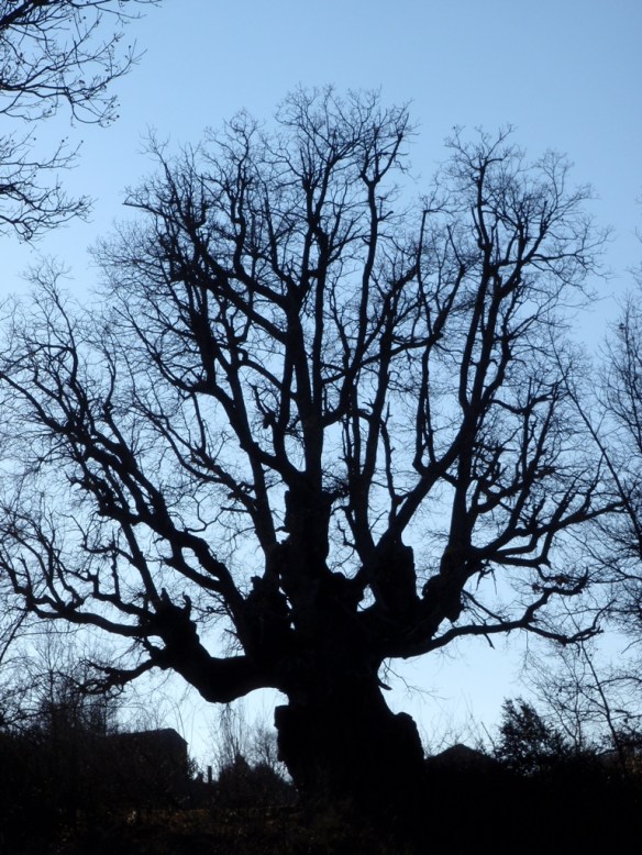 El Roble de San Úrbez