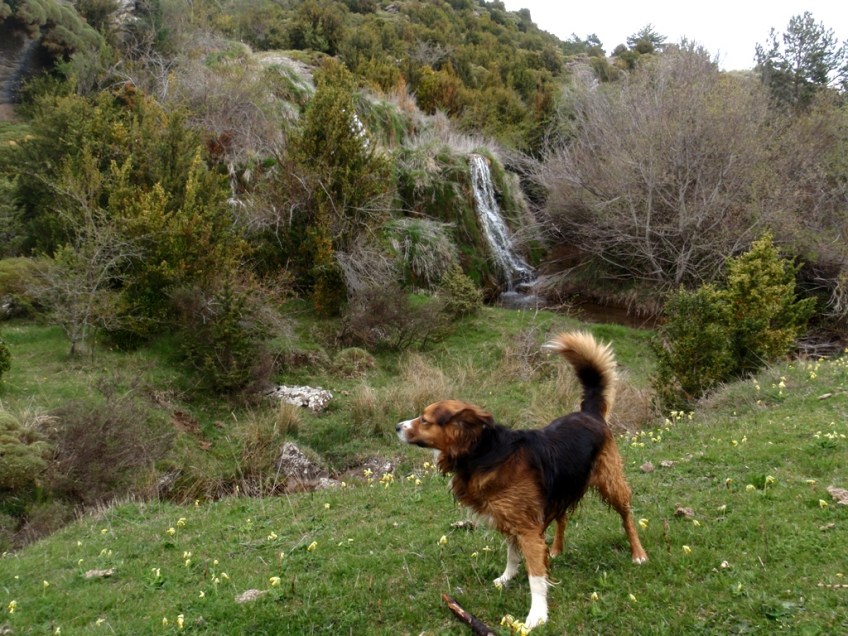 El nacimiento del Río Flumen