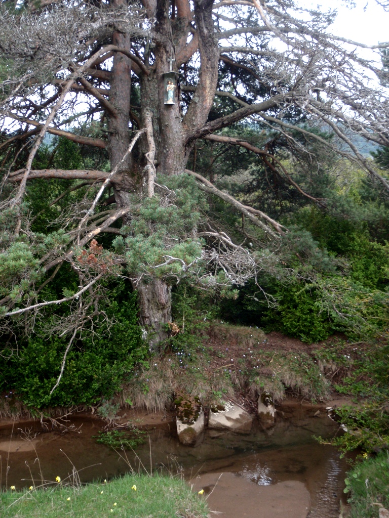 El Nacimiento del Río Flumen