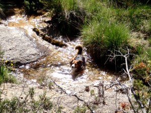 El Barranco de las Palomeras