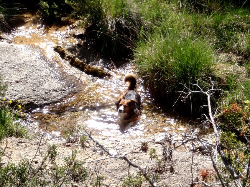 El Barranco de las Palomeras