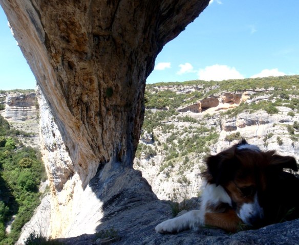 El Portal de la Cunarda