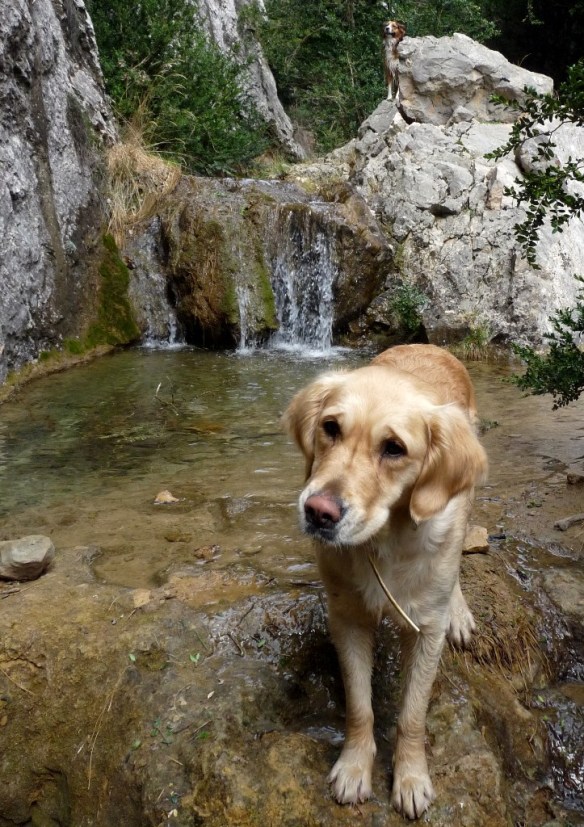 Las Gargantas de Fabana
