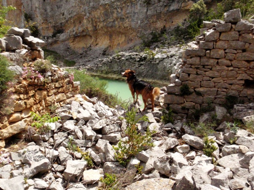 Robert en las ruinas de un molino en el joven Vero