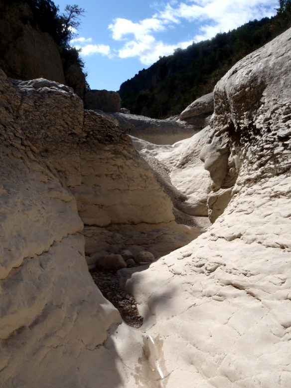 El paisaje seco del joven vero en el estrecho debajo de Almazorre