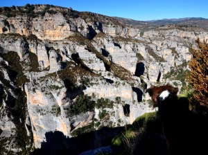 Los Jardines colgantes de los Oscuros de Otín
