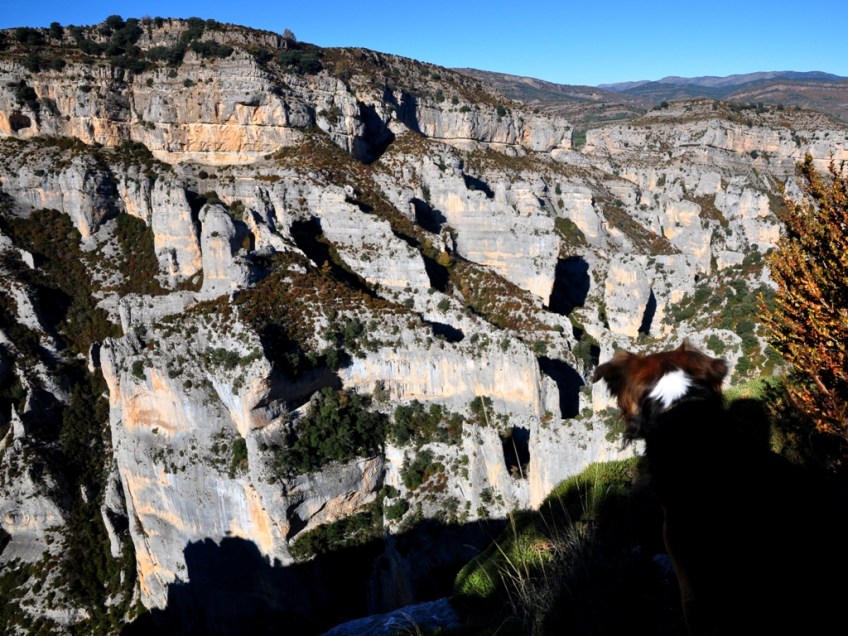 Los Jardines colgantes de los Oscuros de Otín